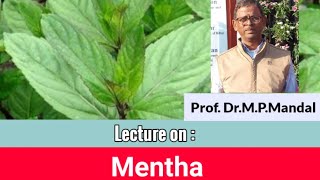 Complete Lecture on MenthaMentha arvensis by DrMPMandal [upl. by Erodaeht]