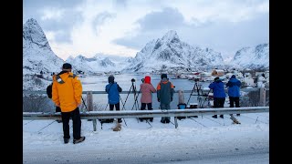 Det er snart flere turister enn fisk i havet i Lofoten [upl. by Hurwit]