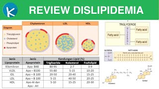 Dislipidemia  Jenis Lipoprotein Terapi dan Klasifikasi Dislipidemia [upl. by Mllly]