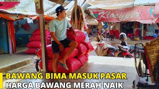 Harga Bawang Merah Hari Ini Naik Bawang Merah dari Bima Masuk Ke Pasar Sukomoro Nganjuk [upl. by Sollie]