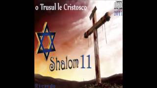 Ricardo Kwiek Shalom 11track 2 [upl. by Naeloj]