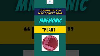 Composition of Mac Conkey Agar shorts mnemonic aimsexam aimsexampreparation academically [upl. by Nilla]