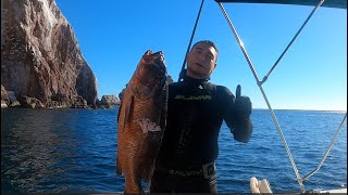 Pesca Submarina con arpon de Pargos y Cabrillas en el quotFARALLONquot [upl. by Questa]