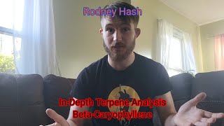 In Depth Terpene Analysis of Beta  Caryophyllene by Rodney Hash [upl. by Lirrehs971]