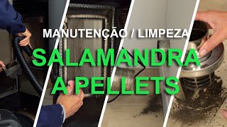 MANUTENÇÃO  LIMPEZA DE SALAMANDRA A PELLETS  2022 [upl. by Gilbertson]