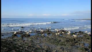 Callantsoog Beach  Holland [upl. by Hardin]