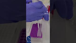 Dijital PCR deneyimi 🧬🤩 dPCR qiagen [upl. by Jarl925]