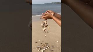 Turning beach treasures into beautiful wall decor—watch the magic of seashells unfold 🌊🌿 Sea [upl. by Atilemrac]