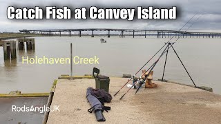 Catch Fish at Canvey Island HOLEHAVEN CREEK [upl. by Lilla]