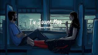 Tu Jaane Na  Atif Aslam song Slowed  reverb ranbirkapoor love [upl. by Ainegul]