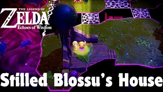 Echoes of Wisdom Stilled Blossus House Rift Walkthrough [upl. by Attenra630]