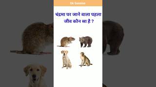 Gk।। Gk In Hindi ।। Gk quiz ।। General Knowledge Questions And Answers [upl. by Arondell96]