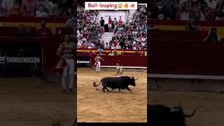 Bullfighting in spanish 🔥💯💯😲 bull [upl. by Gnehc]