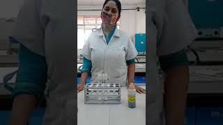 Mastitis test using Bromothymol Blue pH indicator [upl. by Yhtamit]