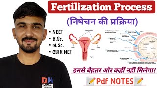 Fertilization  Hindi  Biology [upl. by Nnybor]