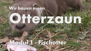 Otterzaun Modul 1 Fischotter [upl. by Kcirtemed]