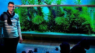 The Worlds Most Famous Planted Tank Takashi Amanos Home Aquarium In Japan vlog Part 2 [upl. by Nnairac227]