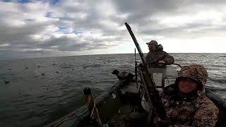 My First Old Squaw Lake Huron Sea Ducks [upl. by Adnilreh]