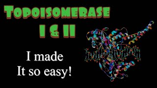 Topoisomerase I and II [upl. by Palla]