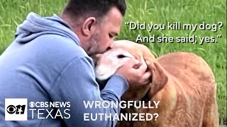 Denton Family heartbroken after missing dog euthanized at North Texas shelter [upl. by Ydisac542]