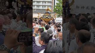 丸金半纏 高橋組 2023 三社祭 神輿 西浅三北 東京浅草 刺青 Sanja Matsuri portable shrine japanese tattoo Festival shorts [upl. by Hsetirp]