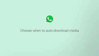 How to Configure Auto Download for Media  Data Usage Tips  WhatsApp [upl. by Inna]