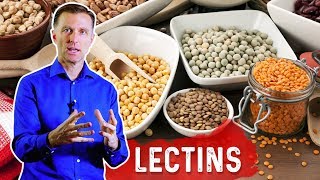 Lectins and Autoimmune Conditions [upl. by Benedic]