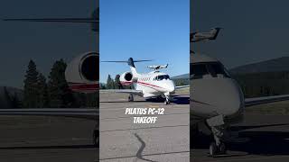 Pilatus PC12 takeoff [upl. by Lledyl]