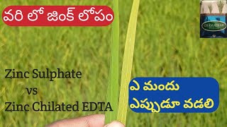 వరి లో జింక్ లోపం  Zinc sulphate vs Zinc chilated EDTA ఎప్పుడు వడలి  zinc fertilizer [upl. by Seagraves]