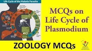 MCQs on Life Cycle of Plasmodium  Zoology MCQs  MBBS Entrance Preparation [upl. by Euqinimod]