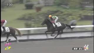 20241102 競馬ﾚｰｽﾄﾋﾟｯｸ 11【人気馬総崩れ】24福316R D2400 5下 ヴォランテ [upl. by Grethel]