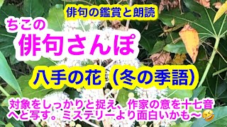 【俳句さんぽ・第97回】八手の花（冬）対象をしっかりと捉え、作家の意を十七音へと写す。ミステリーより面白いかも〜🤓 [upl. by Betthezul]