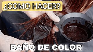 Como hacer un BAÑO DE COLOR correctamente COLORIMETRIA [upl. by Ulberto]