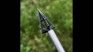 Broadhead Performance Test Discover the Best for Your Huntarrowheads hunting outdoorsshorts [upl. by Prowel]