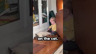 Kid Bites Cat in Revenge 😂 [upl. by Schriever]