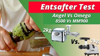 Staudenselleriesaft Test 2 kg Angel Juicer 8500 vs Omega MM900  Bis zu 92 Stangen Sellerie sparen [upl. by Schacker]