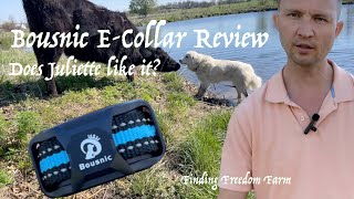 We got an ECollar Bousnic ECollar Review [upl. by Sybille283]