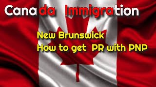 How to Get New Brunswick PNP  What jobs are in demand in New Brunswick [upl. by Ilanos]