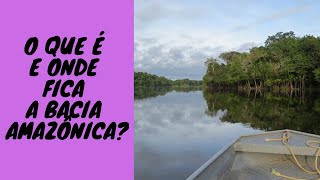 O que é e Onde Fica a Bacia Amazônica É uma das bacias [upl. by Arbmahs281]