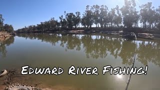 Edward River Fishing My First Murray Cod of the Year [upl. by Airaet]