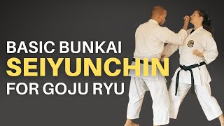 Basic Seiyunchin Bunkai for Goju Ryu [upl. by Bonnell774]