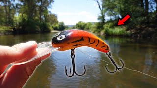 This Simple Lure Never Fails [upl. by Lakim]