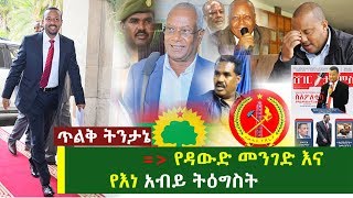 ጥልቅ ትንታኔ  የዳውድ መንገድ እና የእነ አብይ ትዕግስት  OLF  PM Dr Abiy Ahmed [upl. by Cliff]