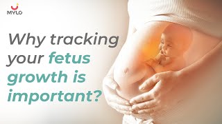 Fetal Growth Chart  Pregnancy Growth Week By Week  Track Fetus Growth  Mylo Family [upl. by Onirotciv]