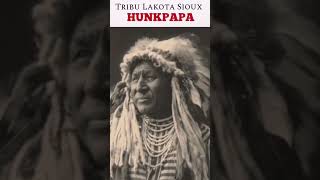 Hunkpapa nativeamerican nativosamericanos apache history [upl. by Laehcim]