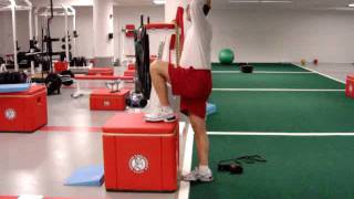 Psoas Iliacus Strengthening Exercises [upl. by Weasner]