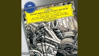 Bruckner Virga Jesse Motet  WAB 52 [upl. by Cyrilla519]