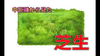 デジタル風景画 自然物：芝生の描き方！【中景】How to draw a lawn [upl. by Leiser]