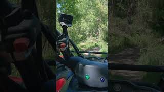 ATV Vlog 🇷🇴 shorts  Discovering Romanian Rural Charm [upl. by Dell]