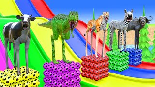 Long Slide Game With Elephant Gorilla Buffalo Hippopotamus Tiger  3d Animal Game  Funny 3d Animals [upl. by Hewitt]